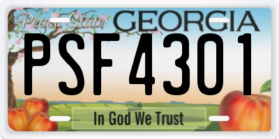 GA license plate PSF4301