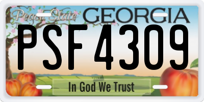 GA license plate PSF4309