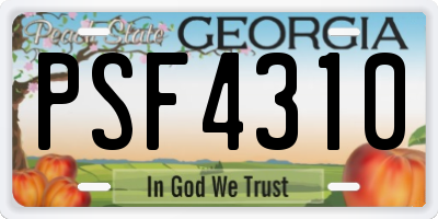 GA license plate PSF4310