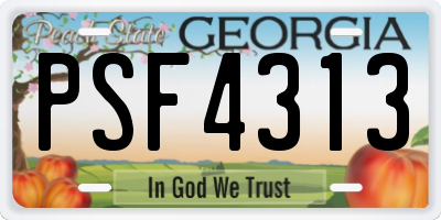 GA license plate PSF4313