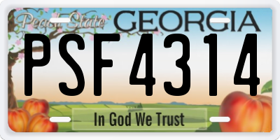 GA license plate PSF4314