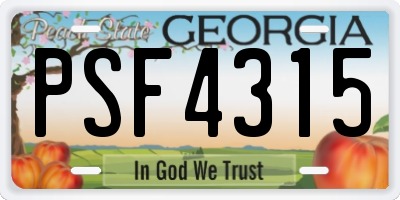 GA license plate PSF4315