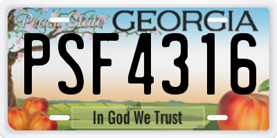 GA license plate PSF4316
