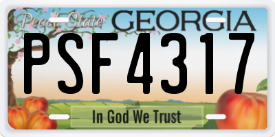 GA license plate PSF4317