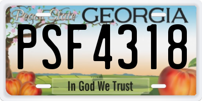GA license plate PSF4318