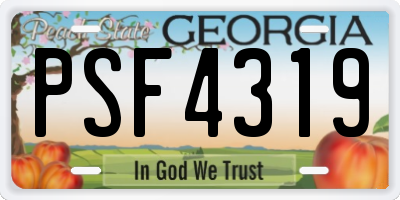 GA license plate PSF4319
