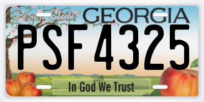 GA license plate PSF4325