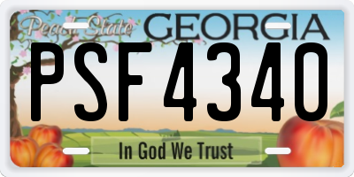 GA license plate PSF4340
