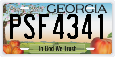 GA license plate PSF4341