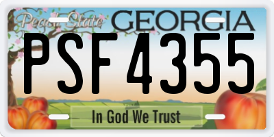 GA license plate PSF4355