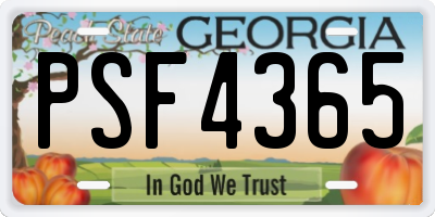 GA license plate PSF4365