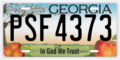 GA license plate PSF4373