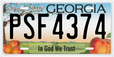 GA license plate PSF4374