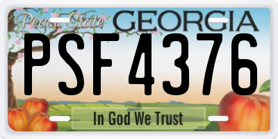 GA license plate PSF4376
