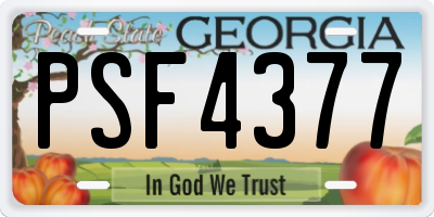GA license plate PSF4377
