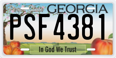 GA license plate PSF4381