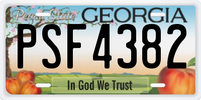 GA license plate PSF4382