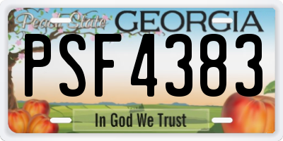 GA license plate PSF4383