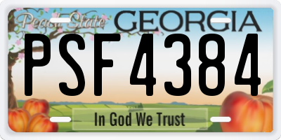 GA license plate PSF4384