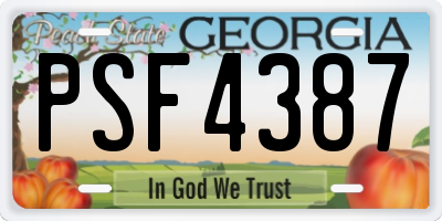 GA license plate PSF4387