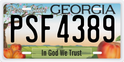 GA license plate PSF4389