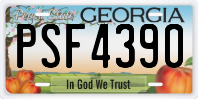 GA license plate PSF4390