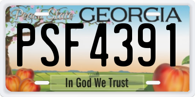GA license plate PSF4391