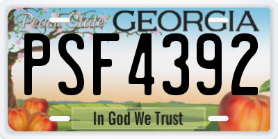 GA license plate PSF4392