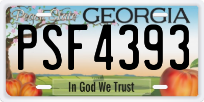 GA license plate PSF4393