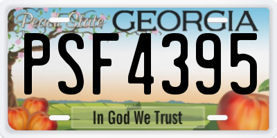 GA license plate PSF4395