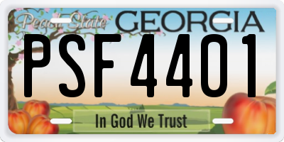 GA license plate PSF4401
