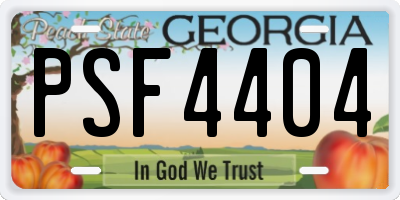 GA license plate PSF4404
