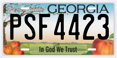 GA license plate PSF4423