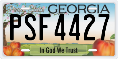 GA license plate PSF4427