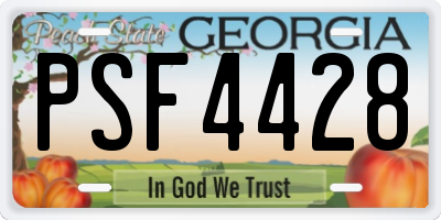 GA license plate PSF4428