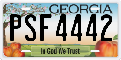 GA license plate PSF4442