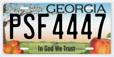 GA license plate PSF4447