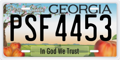 GA license plate PSF4453