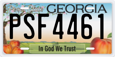 GA license plate PSF4461