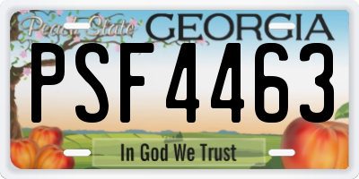 GA license plate PSF4463