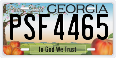 GA license plate PSF4465