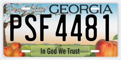 GA license plate PSF4481
