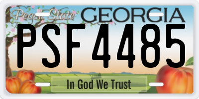GA license plate PSF4485