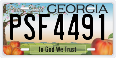 GA license plate PSF4491