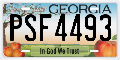 GA license plate PSF4493