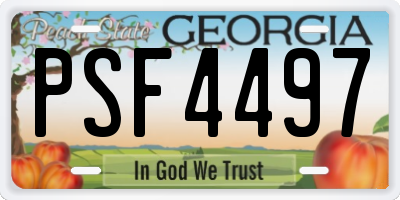 GA license plate PSF4497