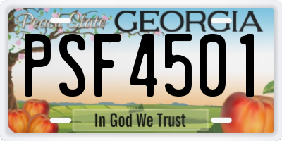 GA license plate PSF4501