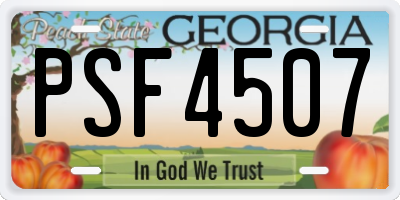 GA license plate PSF4507