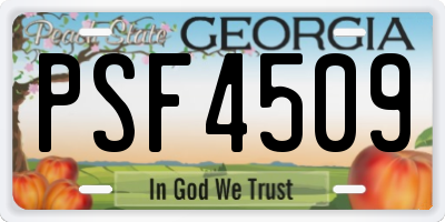 GA license plate PSF4509