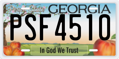 GA license plate PSF4510